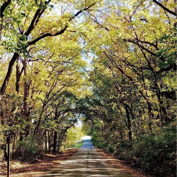 Send me a reasonable offer! Let's do this! (unless it's a handmade item😉)😊📦 - Picture 9 of 10